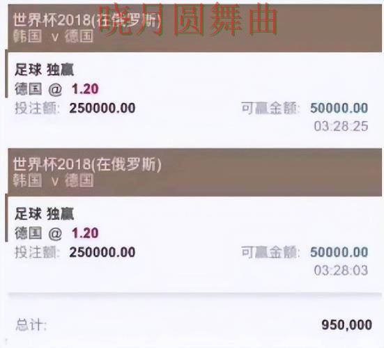 世界杯投注app哪个好用更适合新手,老玩家都在研究 世界杯投注app哪个好用更适合新手,老玩家都在研究